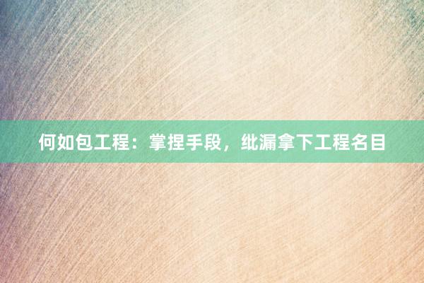 何如包工程：掌捏手段，纰漏拿下工程名目