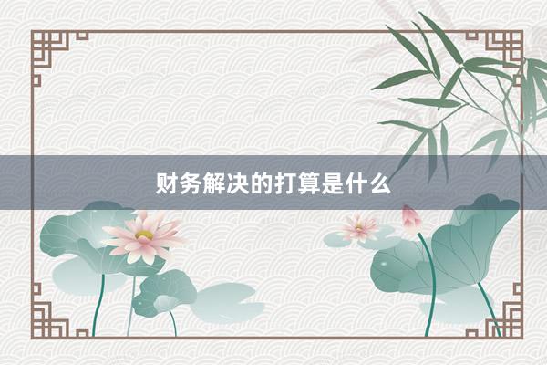 财务解决的打算是什么