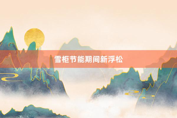 雪柜节能期间新浮松