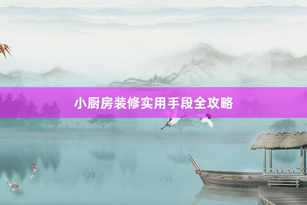 小厨房装修实用手段全攻略