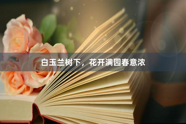 白玉兰树下，花开满园春意浓